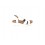 ARA SHOES 12-33512