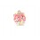 HAVAIANAS H. KIDS FLORES FC