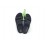 CROCS 203998-060